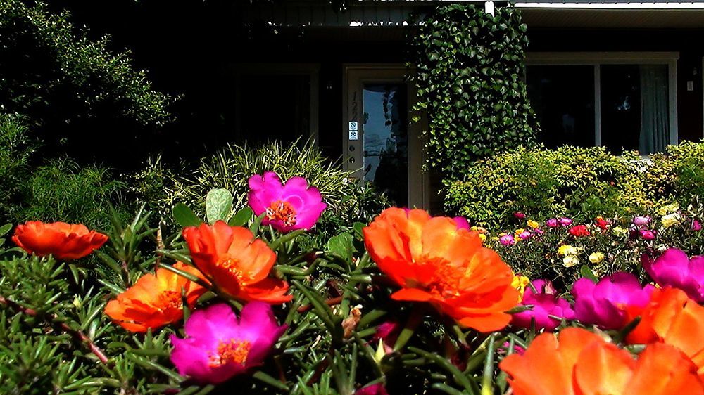 Murray Inn And Art Gallery ภายนอก รูปภาพ